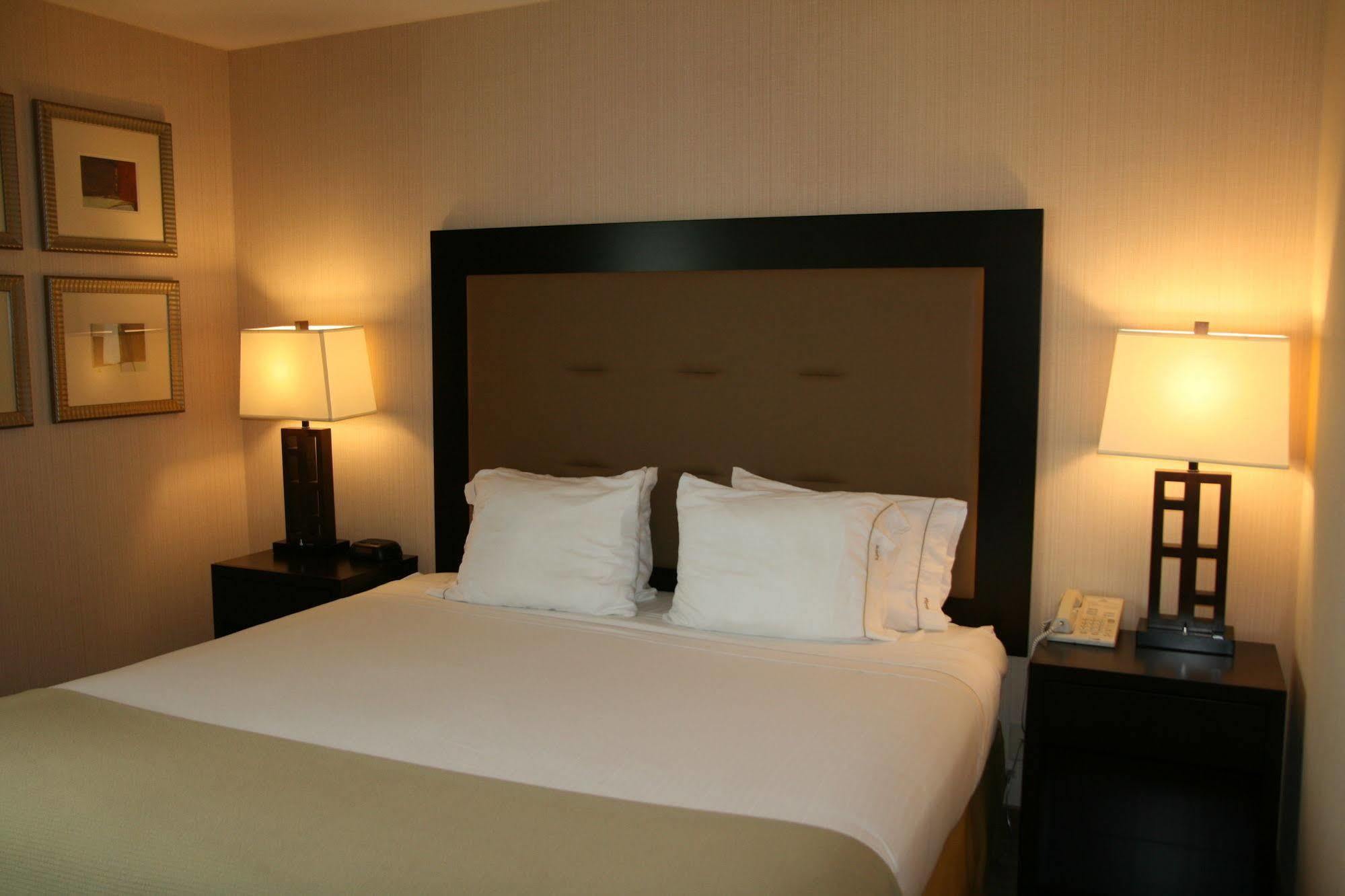 Holiday Inn Express Seattle - Sea-Tac Airport By Ihg SeaTac Kültér fotó